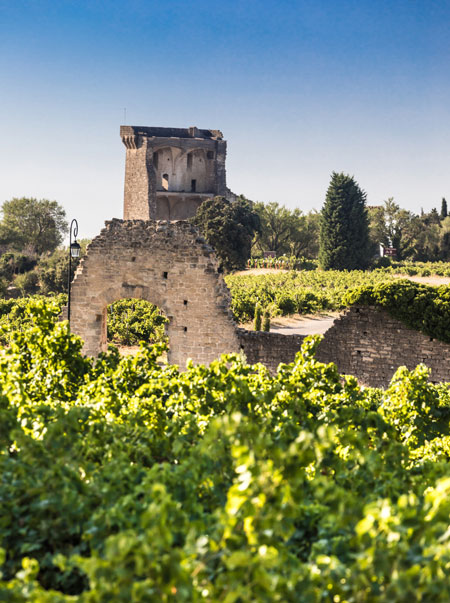 Heritage and vineyard in Châteauneuf-du-Pape