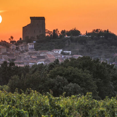 Châteauneuf-du-Pape & Heritage