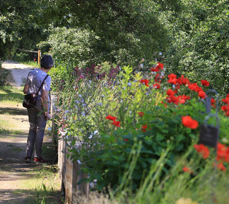 The Citadelle garden