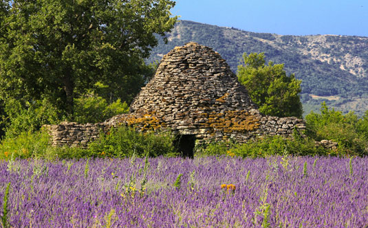 Claparèdes - Provence