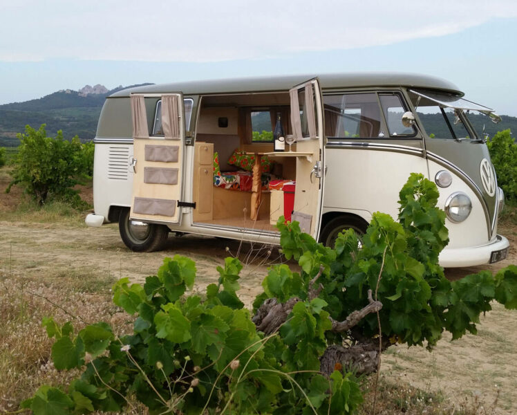 Expérience en van dans les vignes