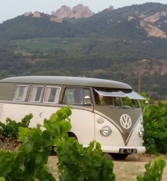 Vineyard experience in a minivan