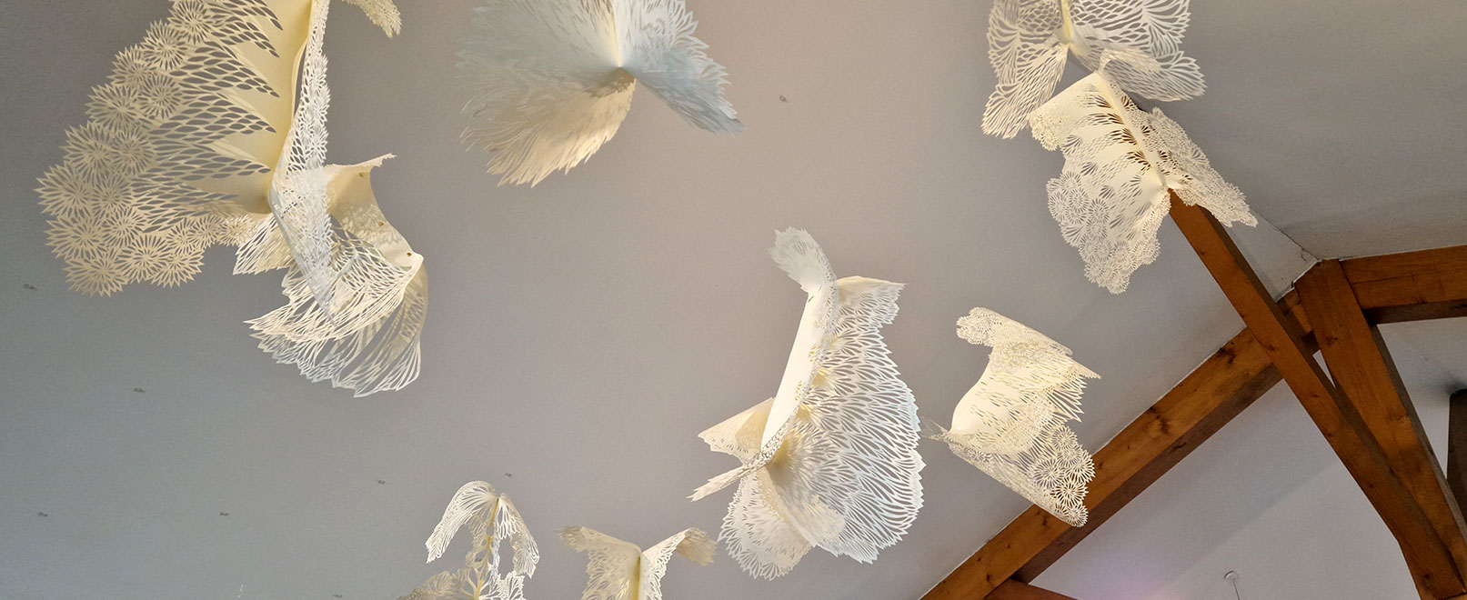 Exhibition at the Musée du Cartonnage in Valréas © Maisonnave