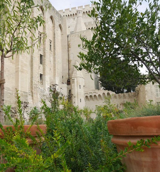 Urbain V garden at the Popes’ Palace