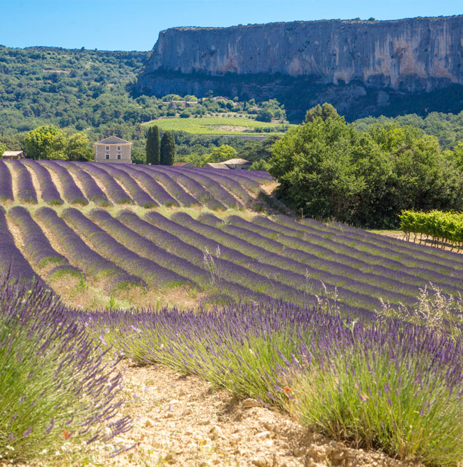 Lioux village in Provence
