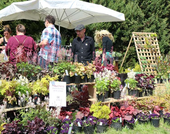 Flower-market