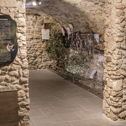 Truffle Museum in Richerenches