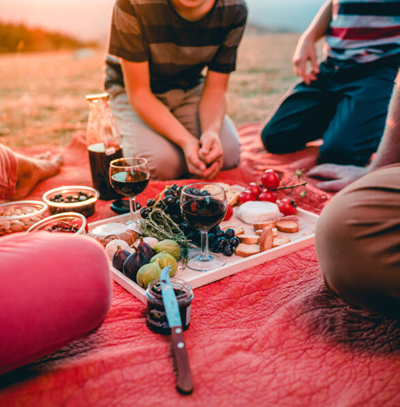 Picnic in Provence