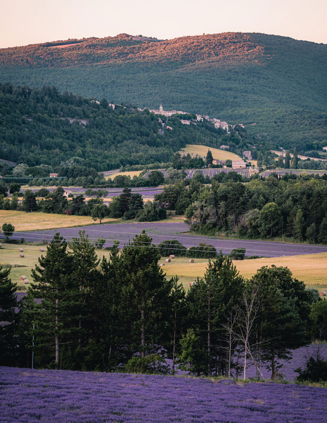 viewpoint Sault