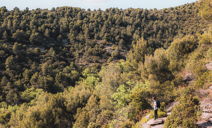Hiking in the Luberon