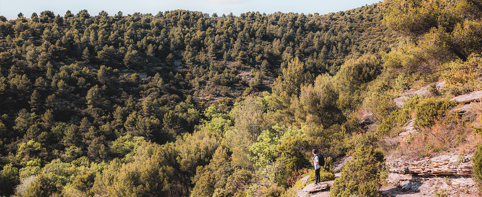 Hiking in the Luberon © LezBroz