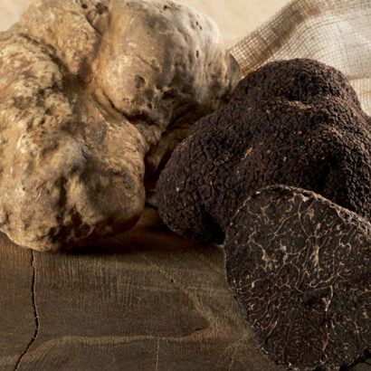 On the hunt for truffles in Vaucluse