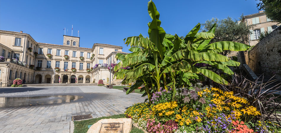 Valréas - Provence
