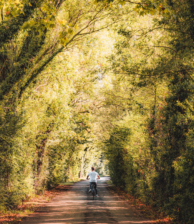 Bike in La Barthelasse in Avignon