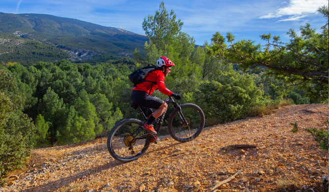 MTB Vaucluse Provence