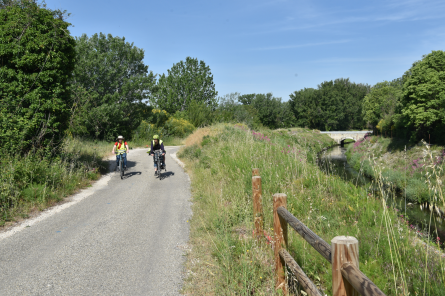 Les Foins de Montfavet-balade à vélo-58