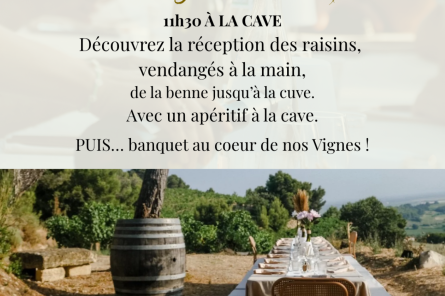 The Harvest Special Menu - Domaine Beau Mistral