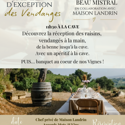 The Harvest Special Menu - Domaine Beau Mistral