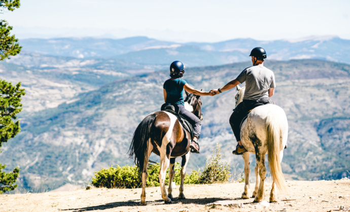 Horse riding in Ventoux