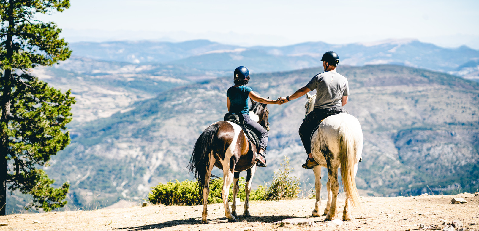 Horse riding in Ventoux © O’Brien