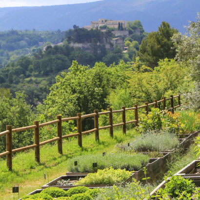 Botanic discovery at the Domaine de la Citadelle