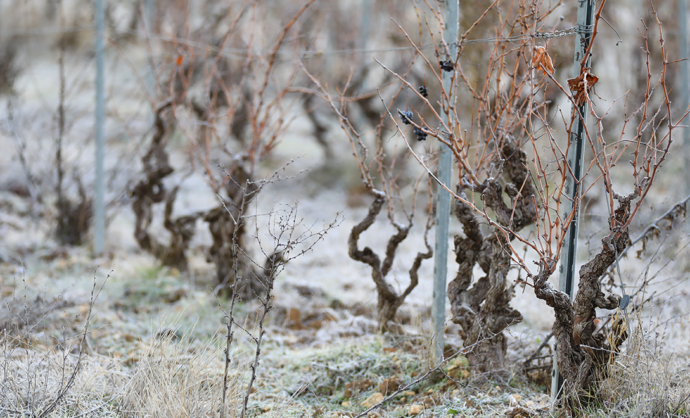 Winter landscapes in the Vaucluse