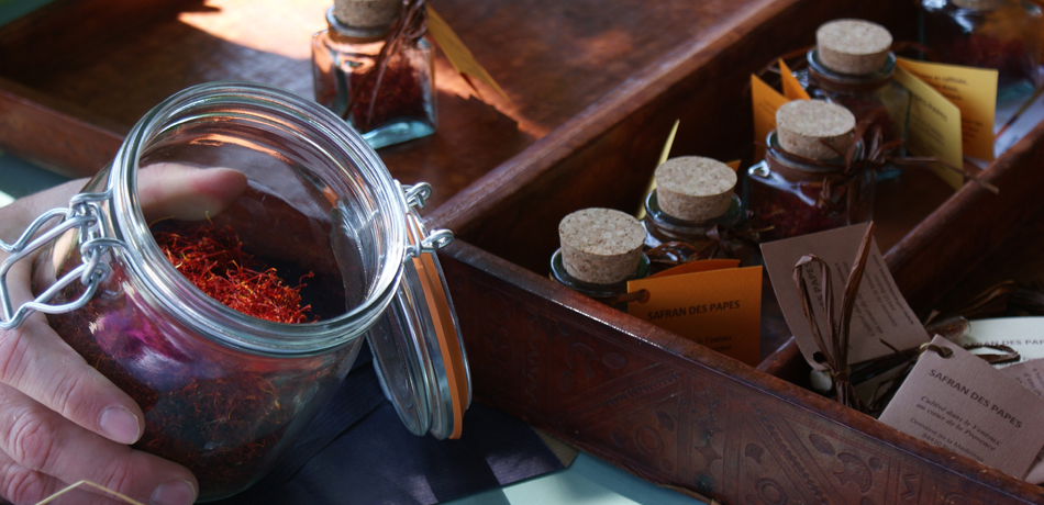 Visit to a Saffron Farm